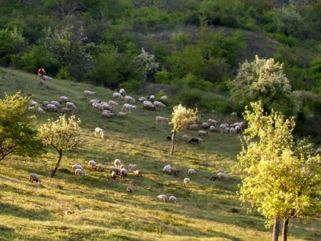 Krásy Českého středohoří